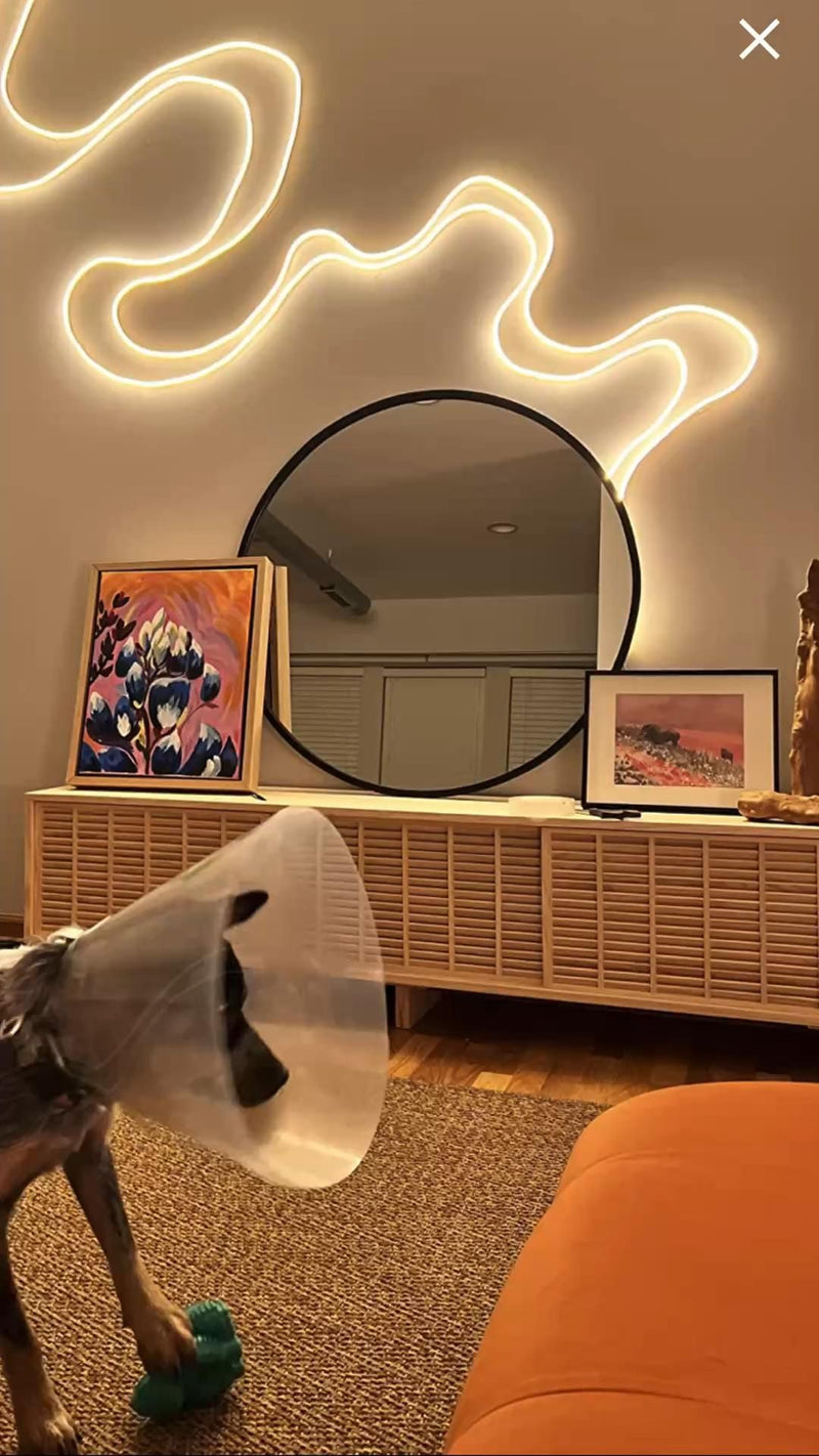 PREMIUM SMART RGB NEON LED STRIP LIGHT